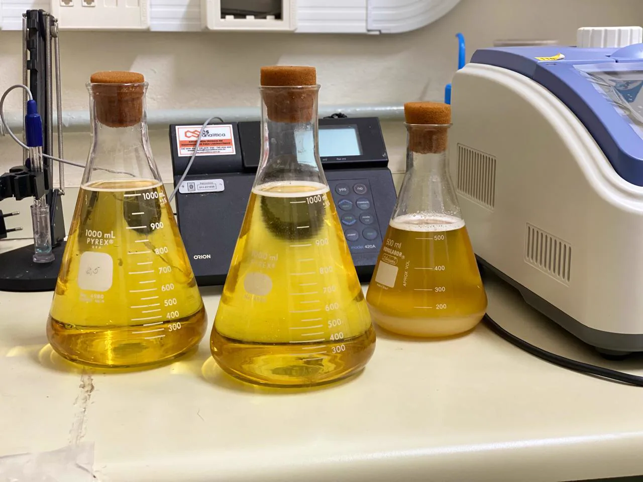 Placas de Petri com culturas microbianas no laboratório da EBYCELL