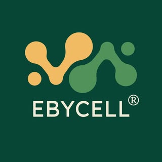 Lavoura ao amanhecer, área de trabalho da EBYCELL Biotecnologia Agro