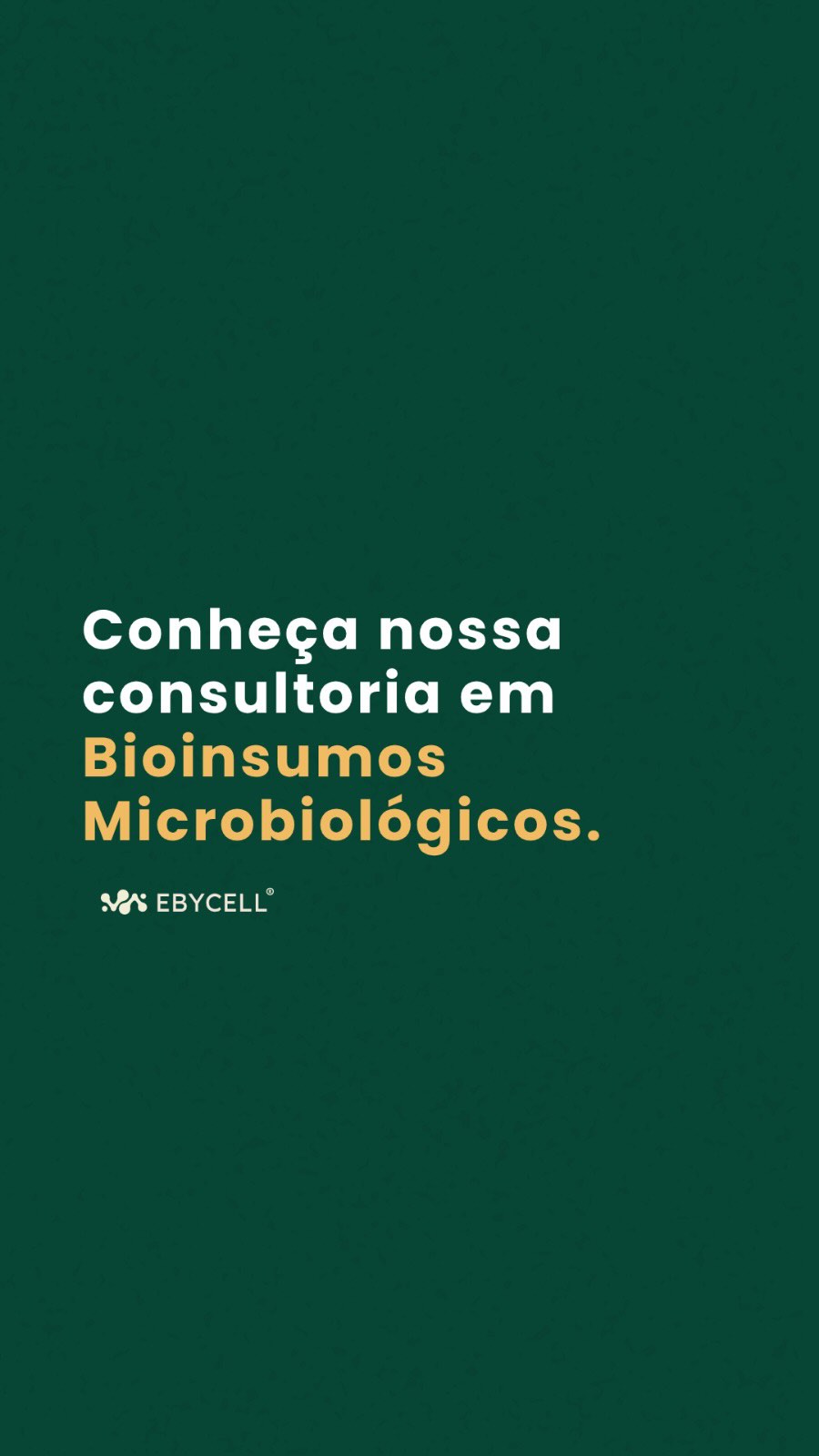 Equipe da EBYCELL avaliando desenvolvimento das plantas em campo