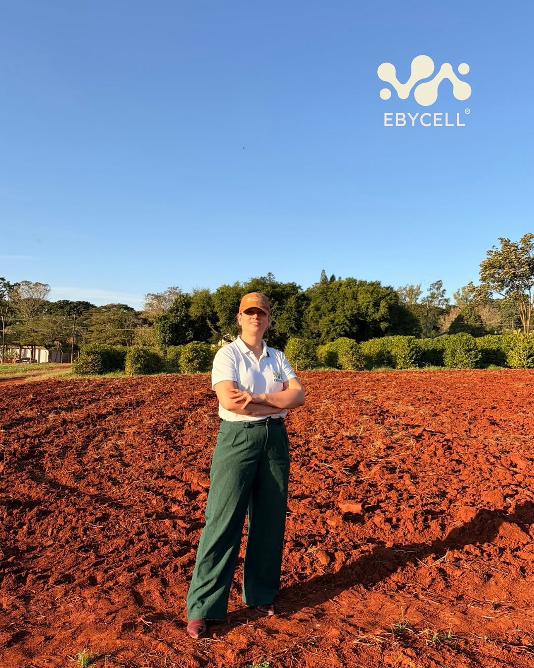 Trabalho técnico de avaliação agronômica em área produtiva