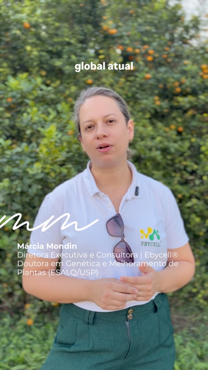 Detalhe de planta em desenvolvimento sob manejo regenerativo