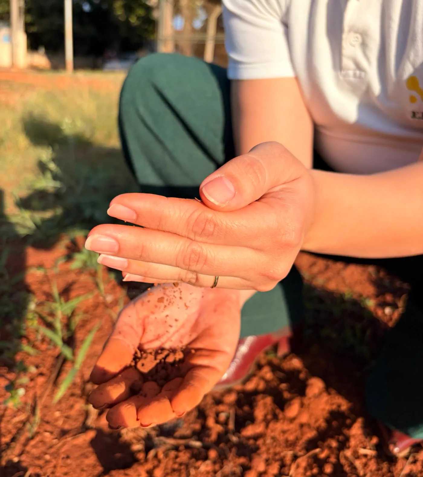 Avaliação de solo a campo com produtor